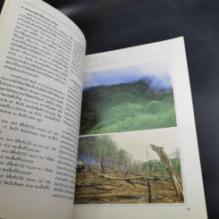 สิ่งแวดล้อม รูปที่ 12