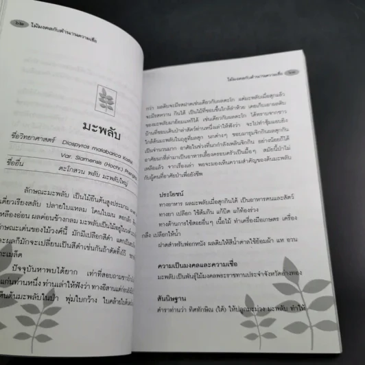 ไม้มงคลกับตำนานความเชื่อ - ณรงค์ มูลคำ รูปที่ 16