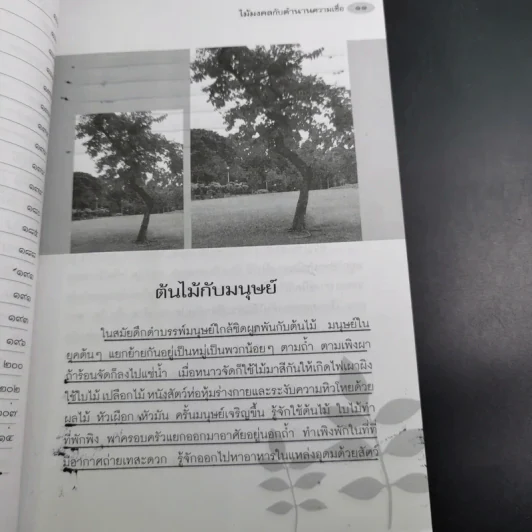 ไม้มงคลกับตำนานความเชื่อ - ณรงค์ มูลคำ รูปที่ 15