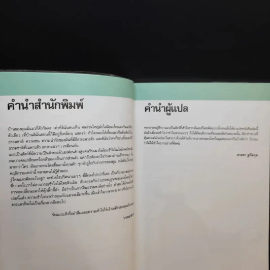 รู้ไหมแมวคิดอะไรอยู่? รูปที่ 11