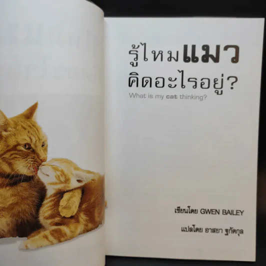 รู้ไหมแมวคิดอะไรอยู่? รูปที่ 9
