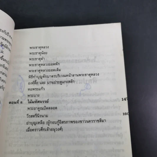 ศิลปแห่งลุ่มแม่น้ำโขง - ภราดร รัตนกุล รูปที่ 11