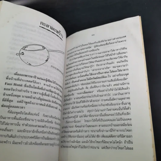 ครัวไทย - ส.พลายน้อย รูปที่ 13