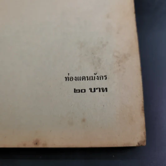 ท่องแดนมังกร - ศุภเกียรติ ธารณกุล รูปที่ 7