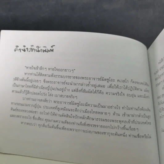 ความสุขอยู่ที่ใจดี - พระอาจารย์มิตซูโอะ คเวสโก รูปที่ 11