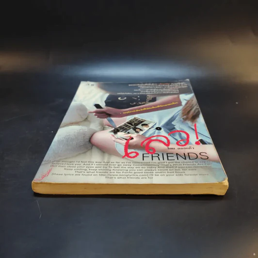 เลว Friends - ดอกแก้ว รูปที่ 4