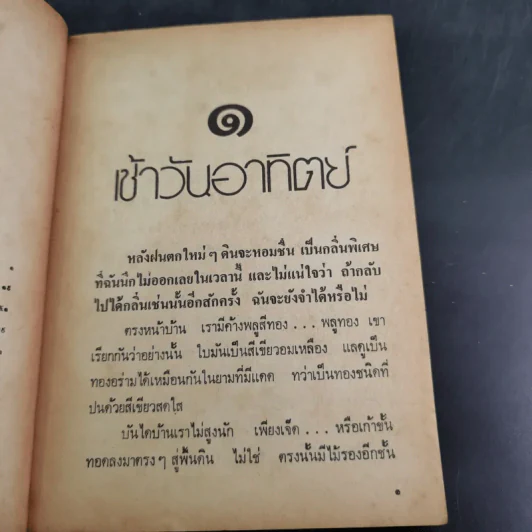 สวนสัตว์ - สุวรรณี สุคนธา รูปที่ 10