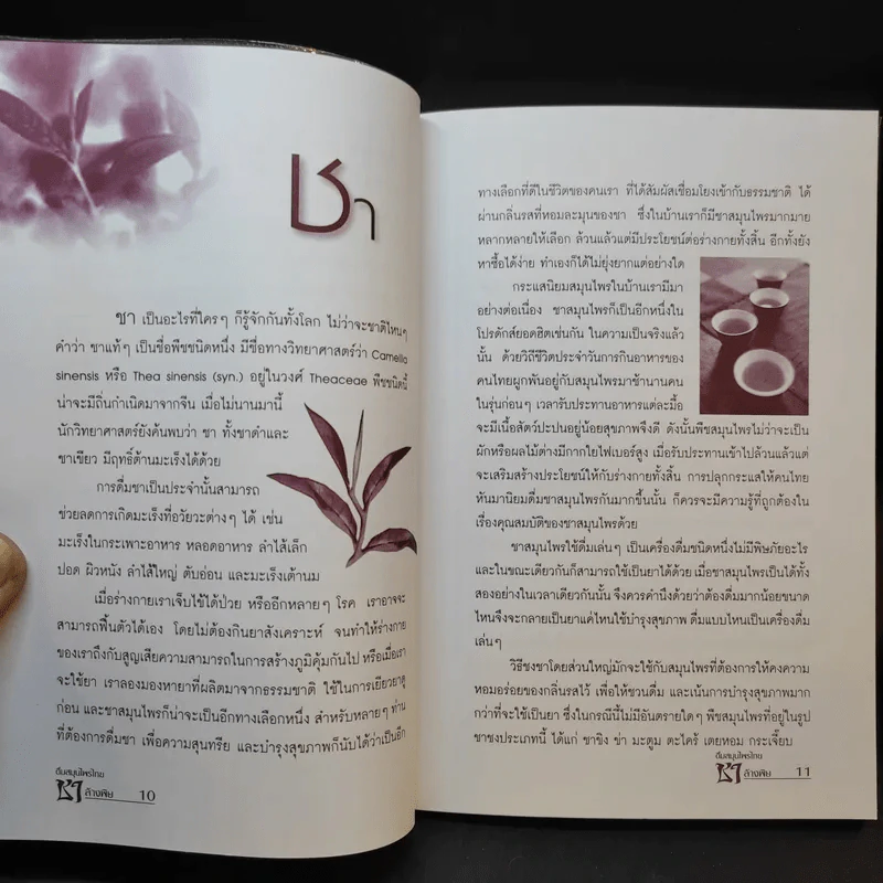 ดื่มสมุนไพรไทย ชาล้างพิษ - ไพบูลย์ เจริญพรเวช รูปที่ 11
