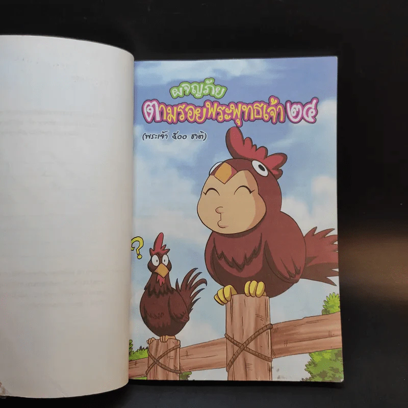 ผจญภัยตามรอยพระพุทธเจ้า เล่ม 24 (พระเจ้า 500 ชาติ) (ฉบับการ์ตูน) รูปที่ 9