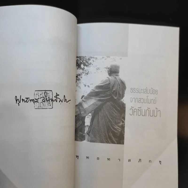 วัคซีนกันบ้า - พุทธทาสภิกขุ รูปที่ 10