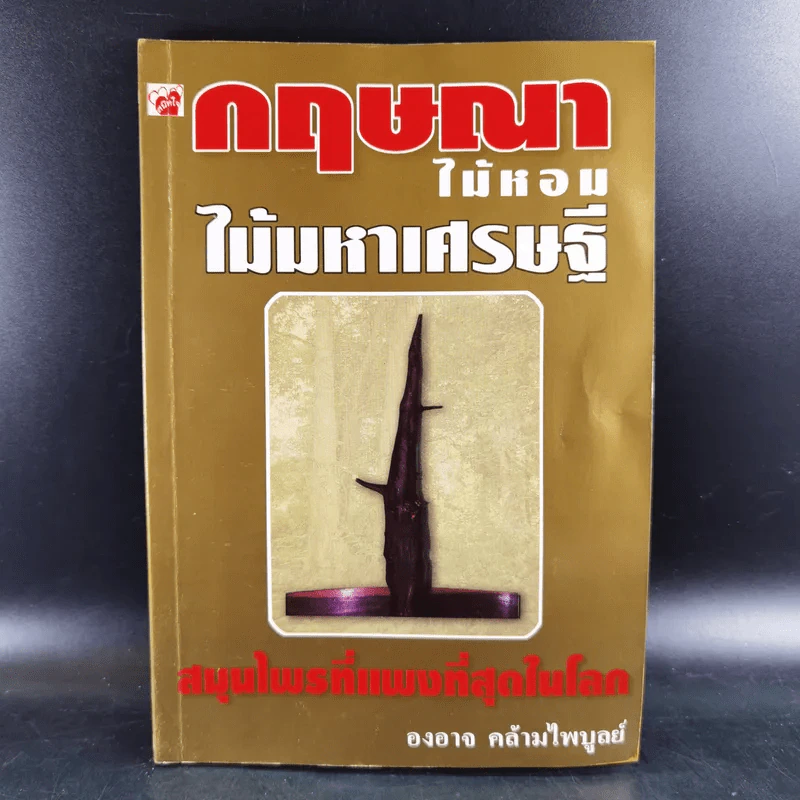 กฤษณาไม้หอม ไม้มหาเศรษฐี - องอาจ คล้ามไพบูลย์ รูปที่ 1
