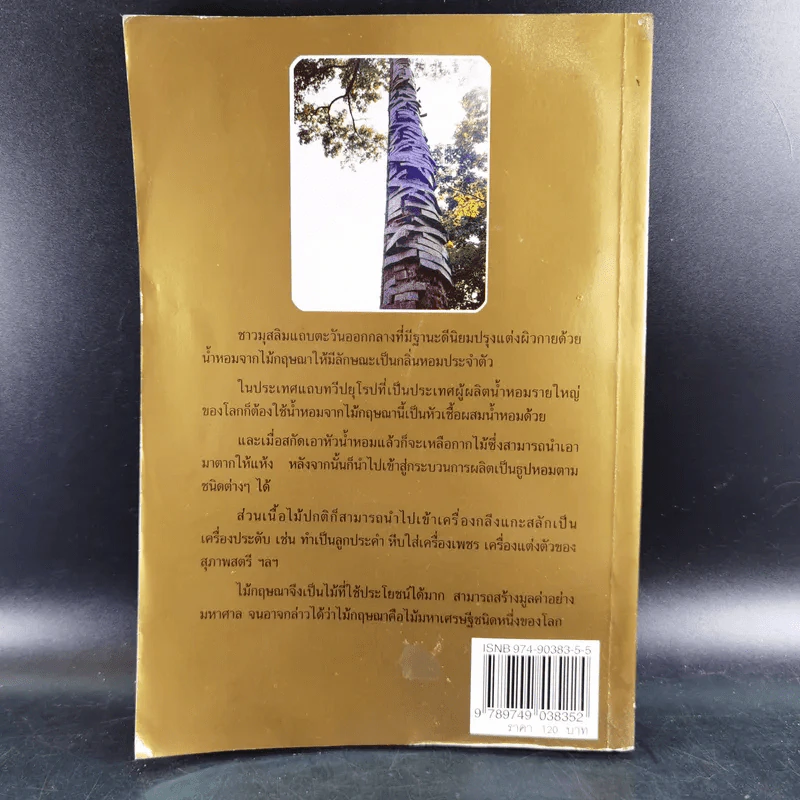 กฤษณาไม้หอม ไม้มหาเศรษฐี - องอาจ คล้ามไพบูลย์ รูปที่ 2