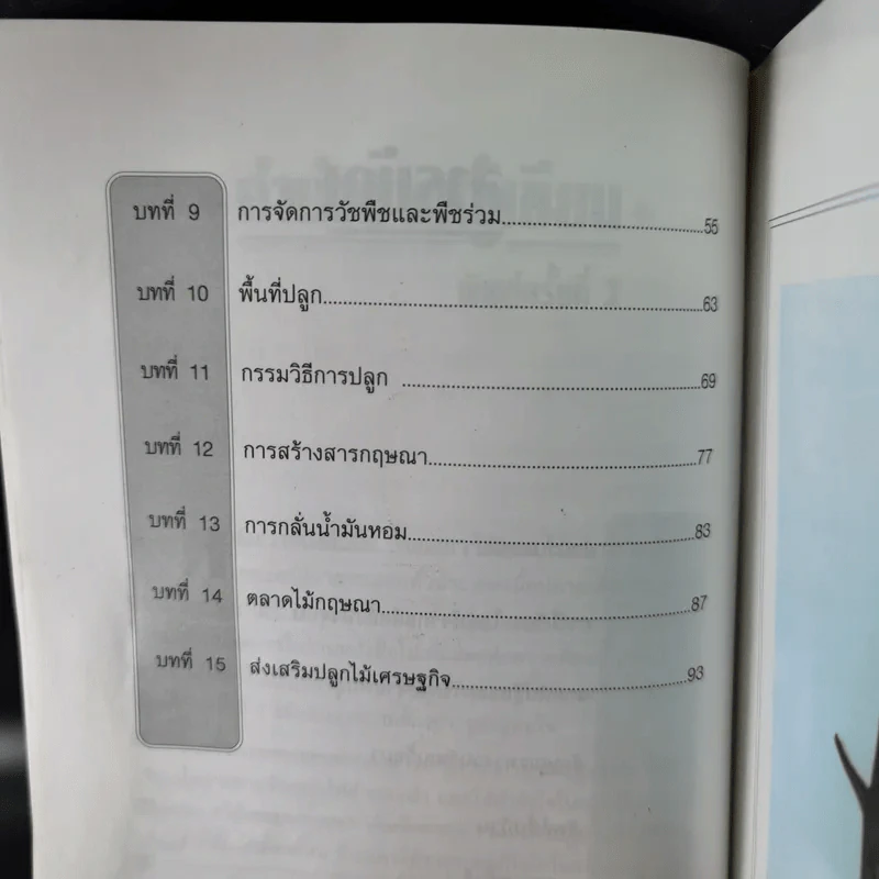 กฤษณาไม้หอม ไม้มหาเศรษฐี - องอาจ คล้ามไพบูลย์ รูปที่ 12