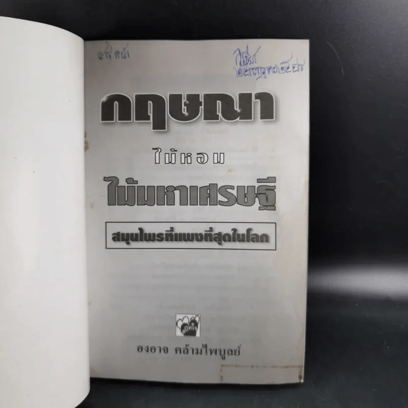 กฤษณาไม้หอม ไม้มหาเศรษฐี - องอาจ คล้ามไพบูลย์ รูปที่ 8
