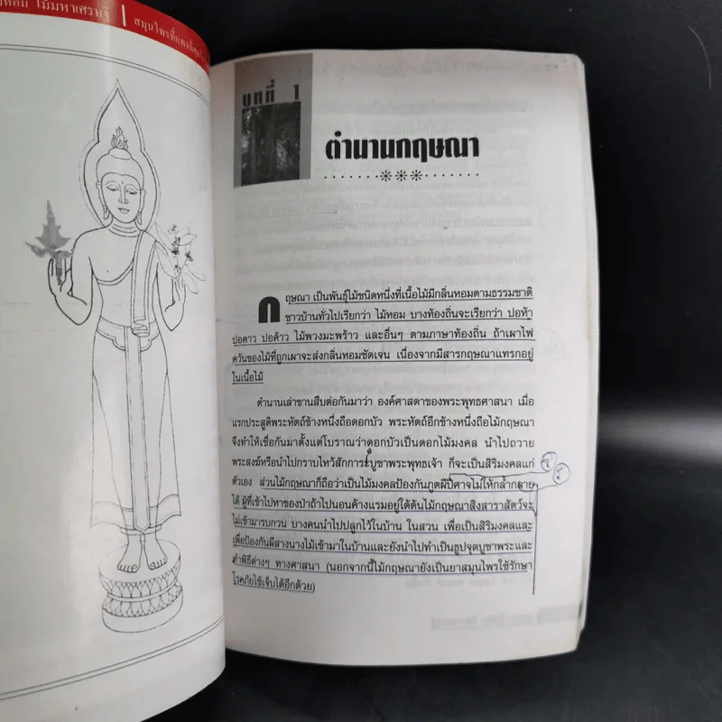 กฤษณาไม้หอม ไม้มหาเศรษฐี - องอาจ คล้ามไพบูลย์ รูปที่ 14