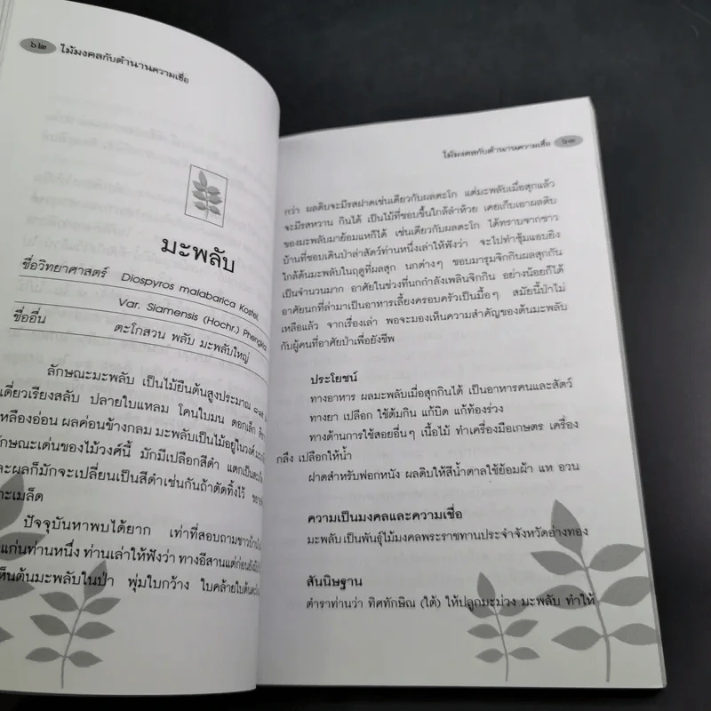 ไม้มงคลกับตำนานความเชื่อ - ณรงค์ มูลคำ รูปที่ 16