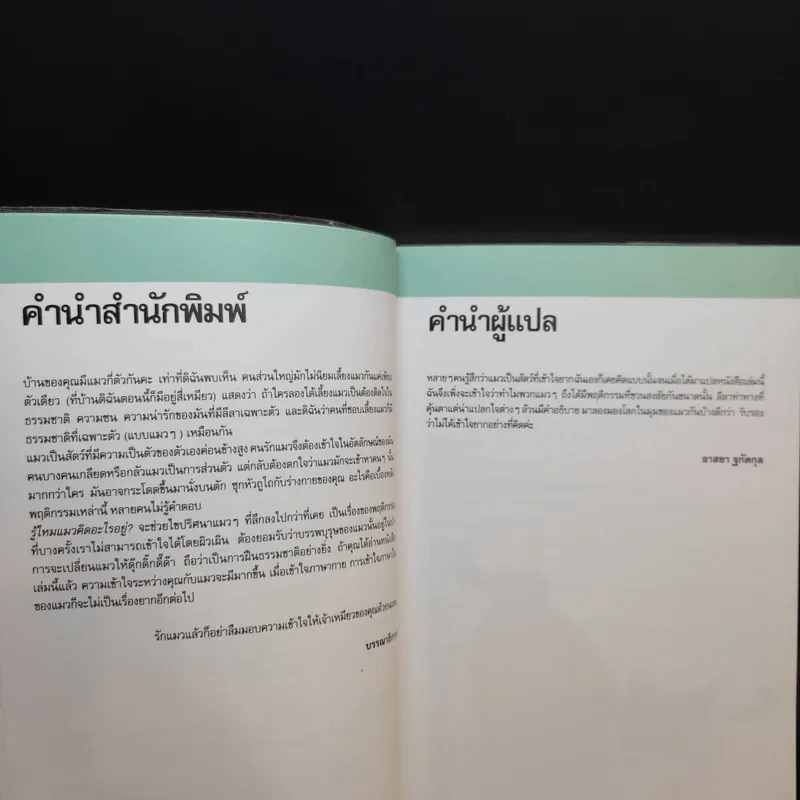 รู้ไหมแมวคิดอะไรอยู่? รูปที่ 11