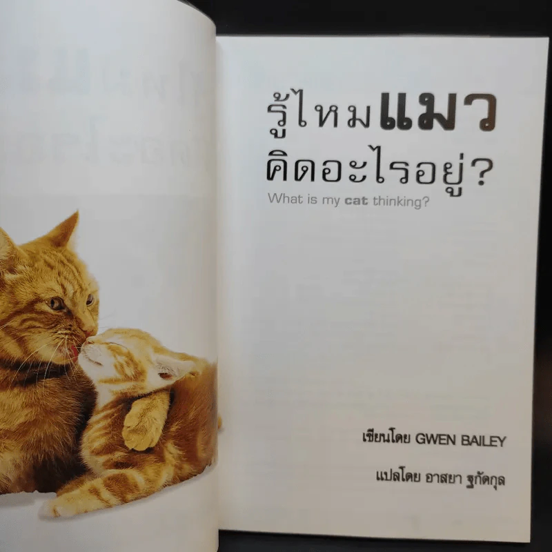 รู้ไหมแมวคิดอะไรอยู่? รูปที่ 9