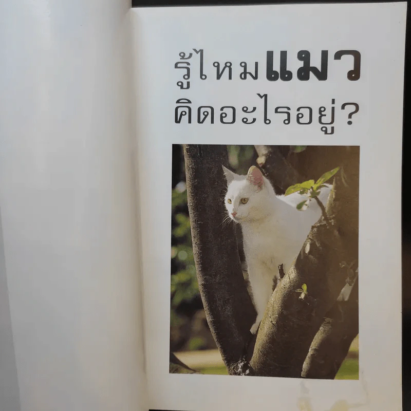 รู้ไหมแมวคิดอะไรอยู่? รูปที่ 8