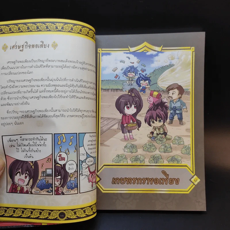 เหตุการณ์สำคัญในรัชสมัยของรัชกาลที่ 9 การ์ตูนความรู้ประวัติศาสตร์ รูปที่ 12
