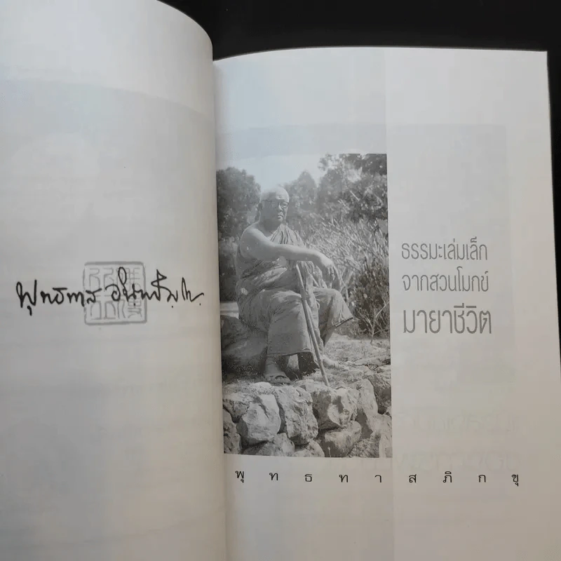 มายาชีวิต - พุทธทาสภิกขุ รูปที่ 9