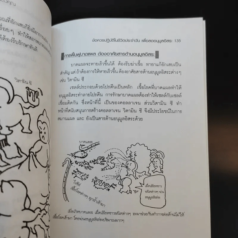วิธีต้านอนุมูลอิสระในตัวคุณ - พนิดา กุลประสูติดิลก รูปที่ 12