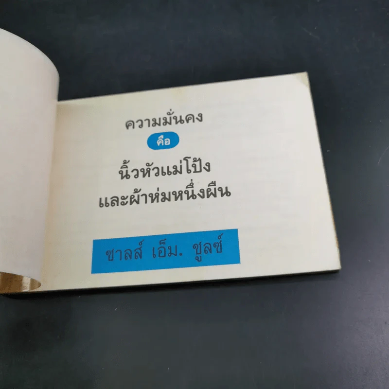 ความมั่นคงคือนิ้วหัวแม่โป้ง และผ้าห่มหนึ่งผืน - ชาลส์ เอ็ม. ชูลซ์ รูปที่ 6