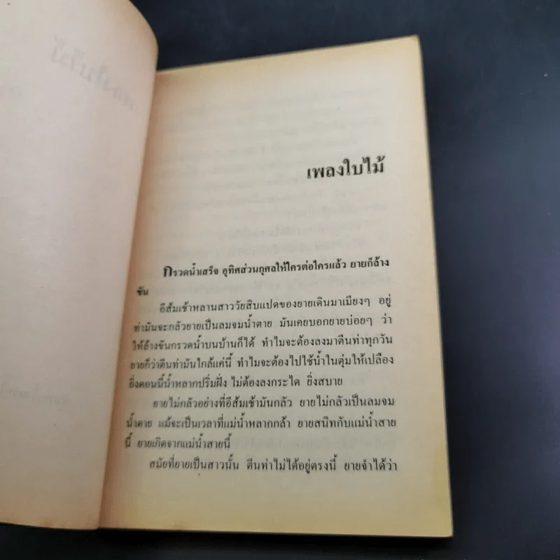 ซอยเดียวกัน - วาณิช จรุงกิจอนันต์ รูปที่ 13