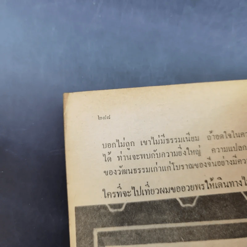 ท่องแดนมังกร - ศุภเกียรติ ธารณกุล รูปที่ 14