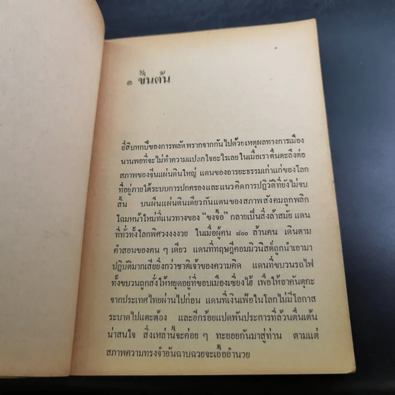 ท่องแดนมังกร - ศุภเกียรติ ธารณกุล รูปที่ 12