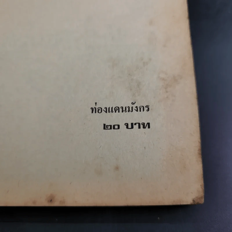 ท่องแดนมังกร - ศุภเกียรติ ธารณกุล รูปที่ 7