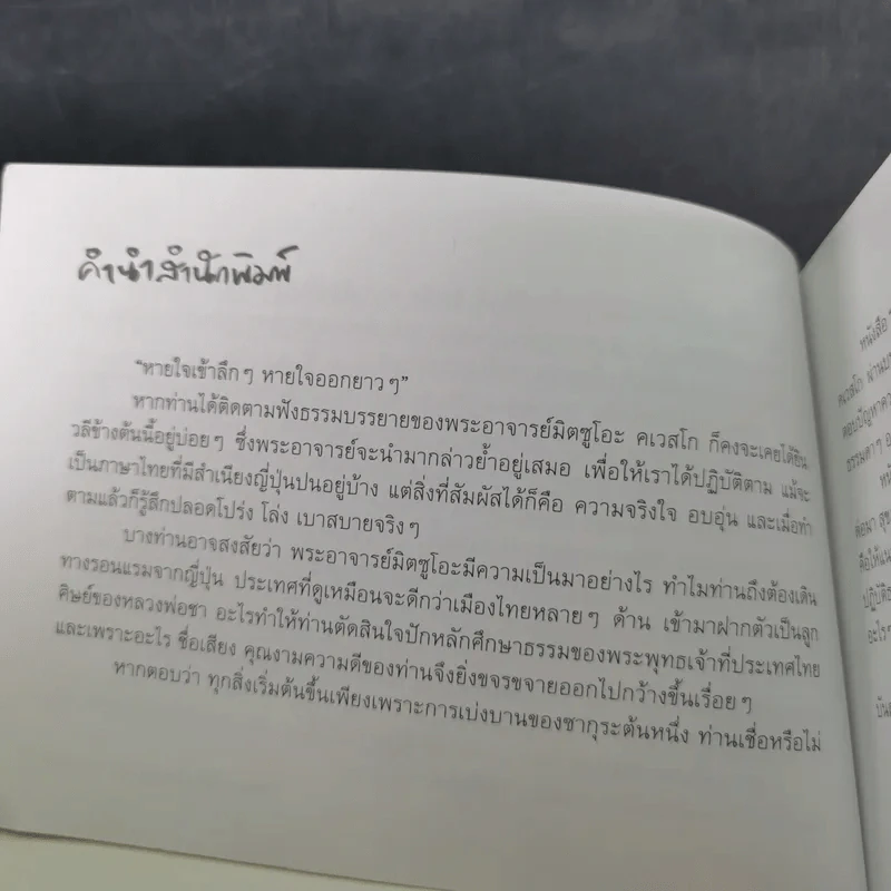 ความสุขอยู่ที่ใจดี - พระอาจารย์มิตซูโอะ คเวสโก รูปที่ 11