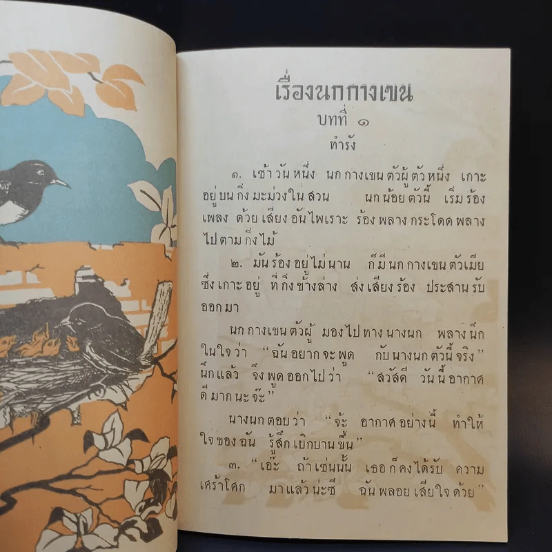 หนังสืออ่านสำหรับเด็กประโยคประถม เรื่อง นกกางเขน รูปที่ 11