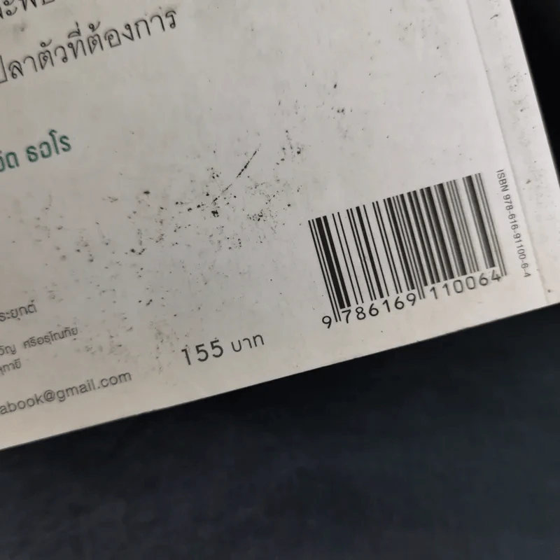 ทำเต็มที่แต่ไม่ซีเรียส - พระไพศาล วิสาโล รูปที่ 3