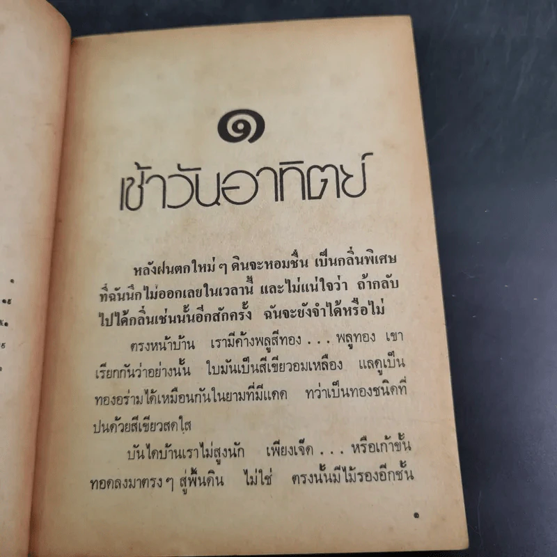 สวนสัตว์ - สุวรรณี สุคนธา รูปที่ 10