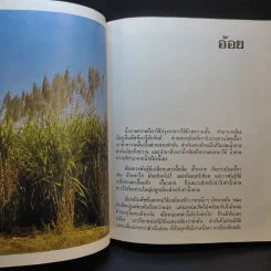 สารานุกรมไทยสำหรับเยาวชน เล่ม 5 รูปที่ 15