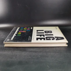 A Big Life (in advertising) ของแมรี่เวลส์ ลอเร็นซ์ วีรสัตรีแห่งโลกโฆษณา รูปที่ 5
