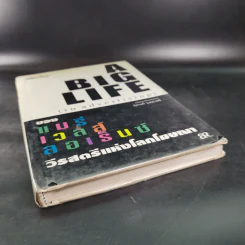 A Big Life (in advertising) ของแมรี่เวลส์ ลอเร็นซ์ วีรสัตรีแห่งโลกโฆษณา รูปที่ 4