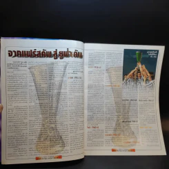 Extra Liverpool Uefa Cup Champions 2001 รูปที่ 8