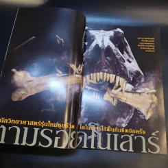 National Geographic มี.ค.2546 รูปที่ 11