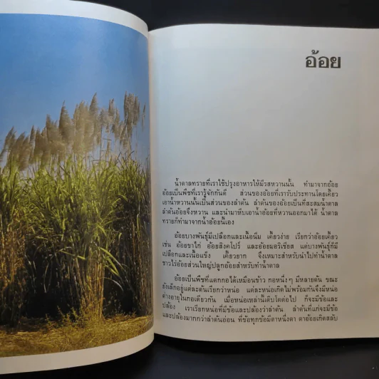 สารานุกรมไทยสำหรับเยาวชน เล่ม 5 รูปที่ 15