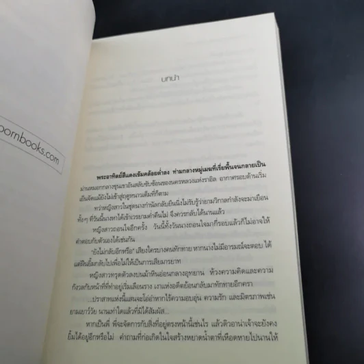 เปลวหมอกแห่งมนตรา เล่ม 1-2 - Faery รูปที่ 12