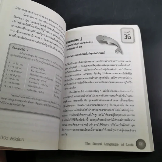 พลิกชีวิตลิขิตโชค - แกรี โกลด์ชไนเดอร์ รูปที่ 10