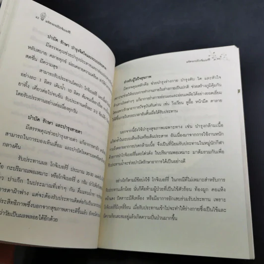 มหัศจรรย์โกจิเบอร์รี่ ราชินีแห่งผลไม้ชะลอความแก่ รูปที่ 15