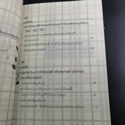 มหัศจรรย์โกจิเบอร์รี่ ราชินีแห่งผลไม้ชะลอความแก่ รูปที่ 13