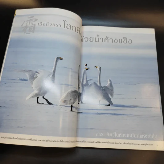 National Geographic ม.ค.2546 รูปที่ 11