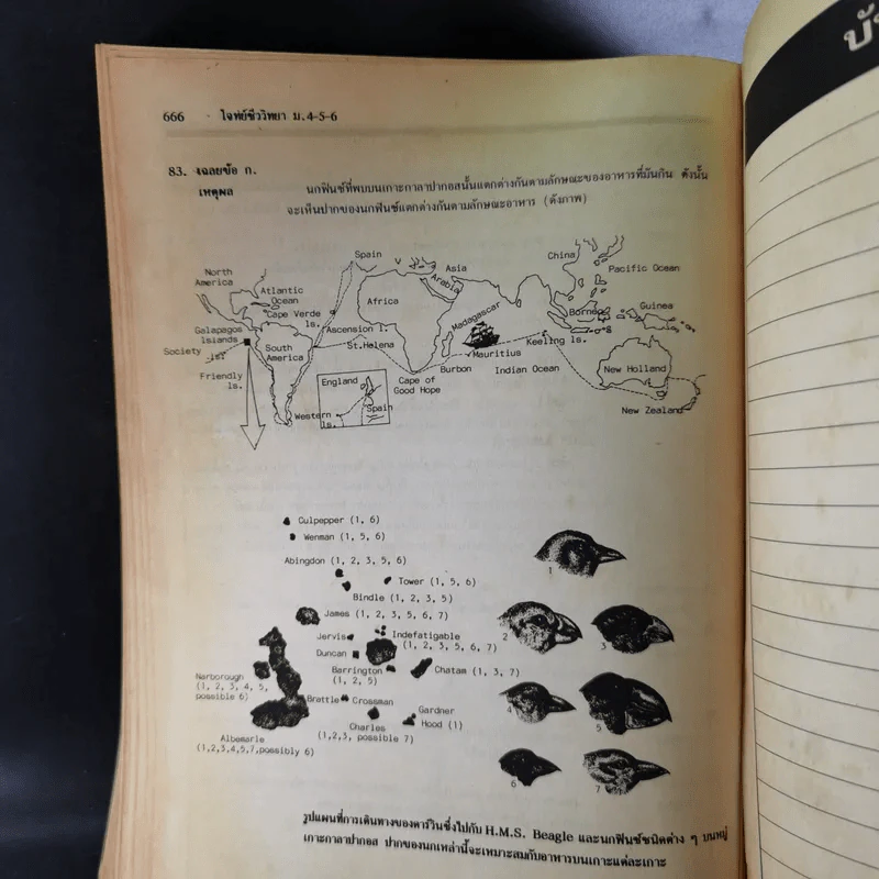 โจทย์ชีววิทยา ม.4-5-6 รูปที่ 15