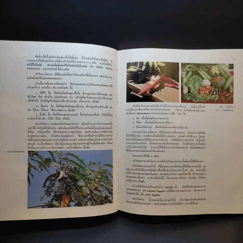 สารานุกรมไทยสำหรับเยาวชน เล่ม 5 รูปที่ 13