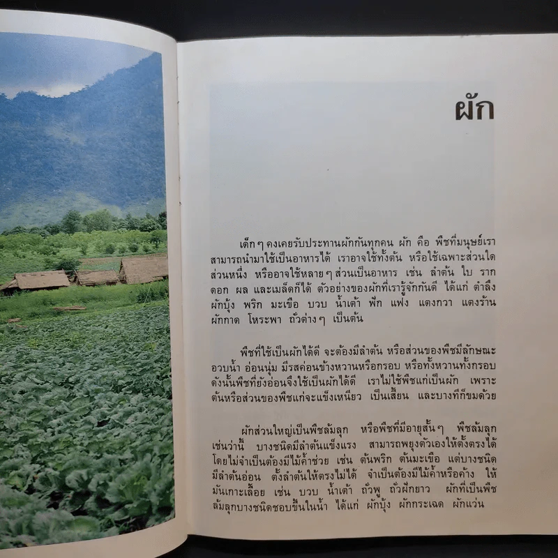 สารานุกรมไทยสำหรับเยาวชน เล่ม 5 รูปที่ 12