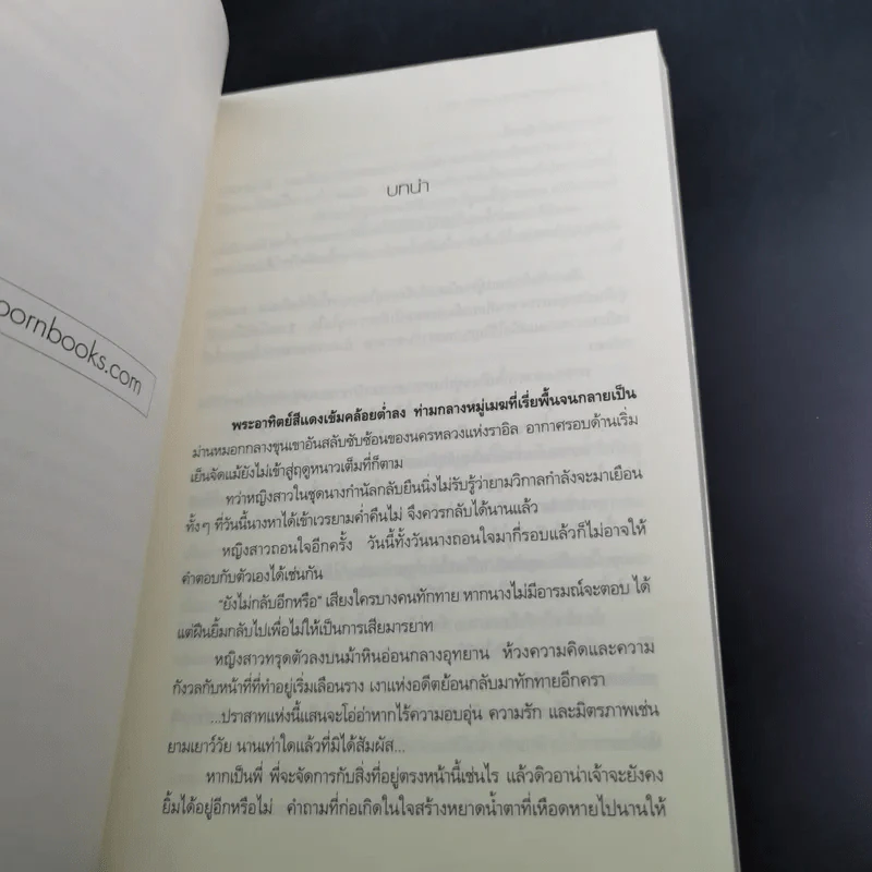 เปลวหมอกแห่งมนตรา เล่ม 1-2 - Faery รูปที่ 12